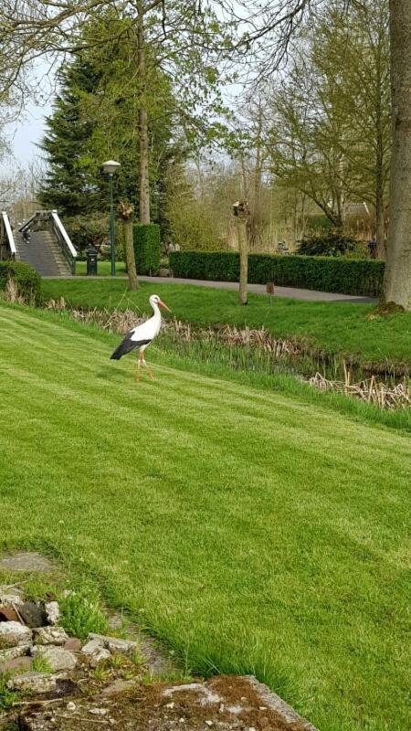 Farmhouse Lodge Giethoorn Esterno foto